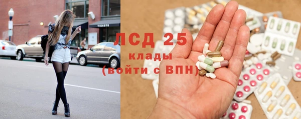 ПСИЛОЦИБИНОВЫЕ ГРИБЫ Алексин