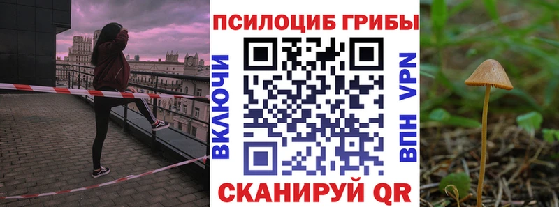 наркошоп Моздок Галлюциногенные грибы Magic Shrooms